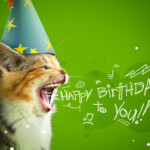 Birthday Cat Birthday Postcard Blue Mountain ECards