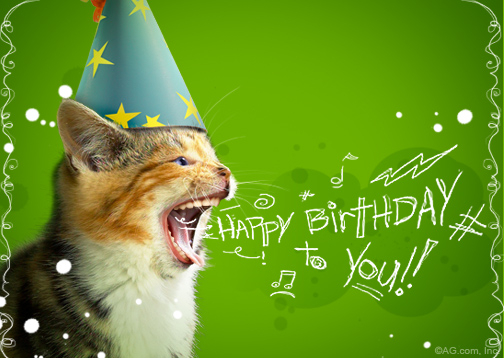 Birthday Cat Birthday Postcard Blue Mountain ECards