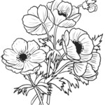 Colouring Poster Remembrance Sunday Poppies Rooftop Post Printables