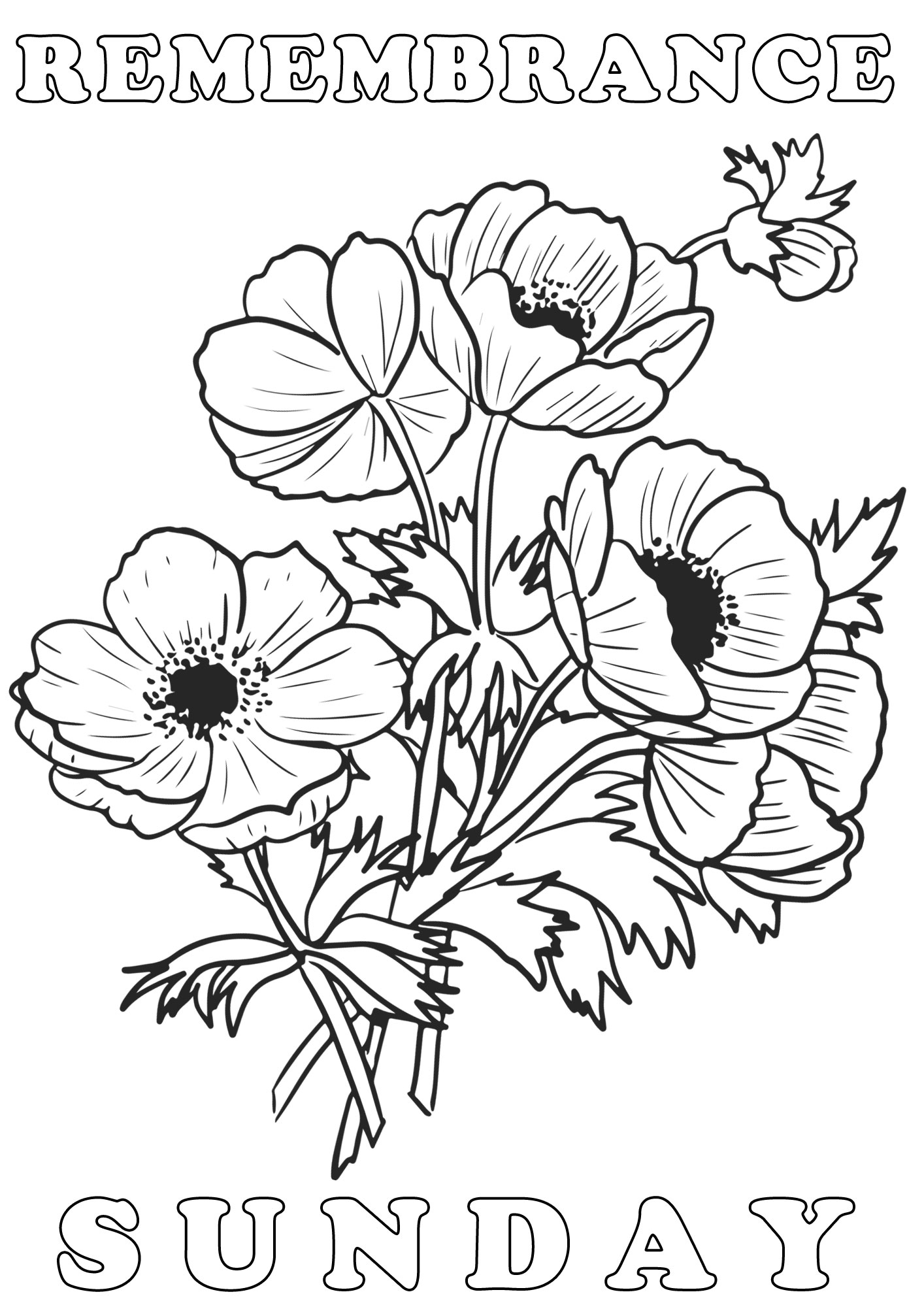 Colouring Poster Remembrance Sunday Poppies Rooftop Post Printables