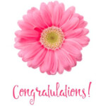 Congratulations Cards Free Printables Congratulations Card