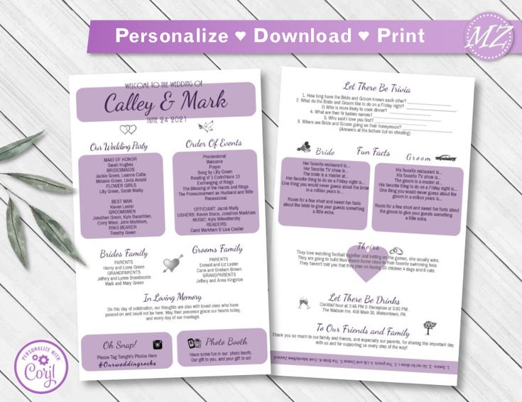 Fun Infographic Wedding Program Template Infographic Event Etsy 