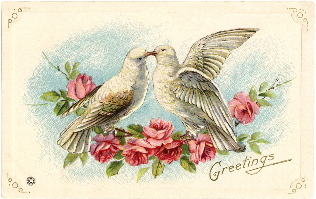 Old Valentine Picture Doves And Roses The Graphics Fairy