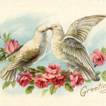 Old Valentine Picture Doves And Roses The Graphics Fairy