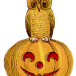 Vintage Halloween Clip Art Cute Owl On Pumpkin The Graphics Fairy