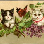 Vintage Kittens Image The Graphics Fairy