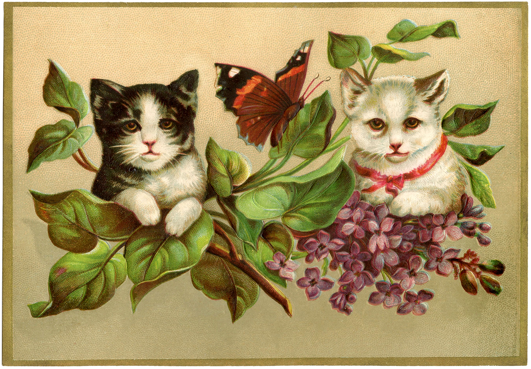 Vintage Kittens Image The Graphics Fairy